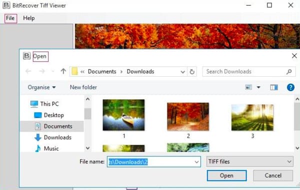 Zdarma Tiff Viewer pro Windows a Mac