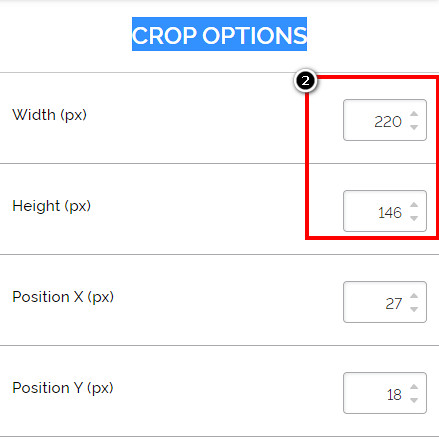 Input Twitter Measurement