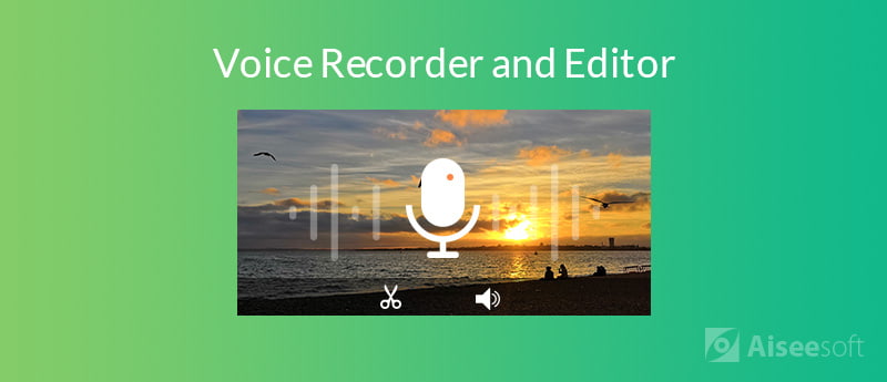 Voice Recorder en Editor