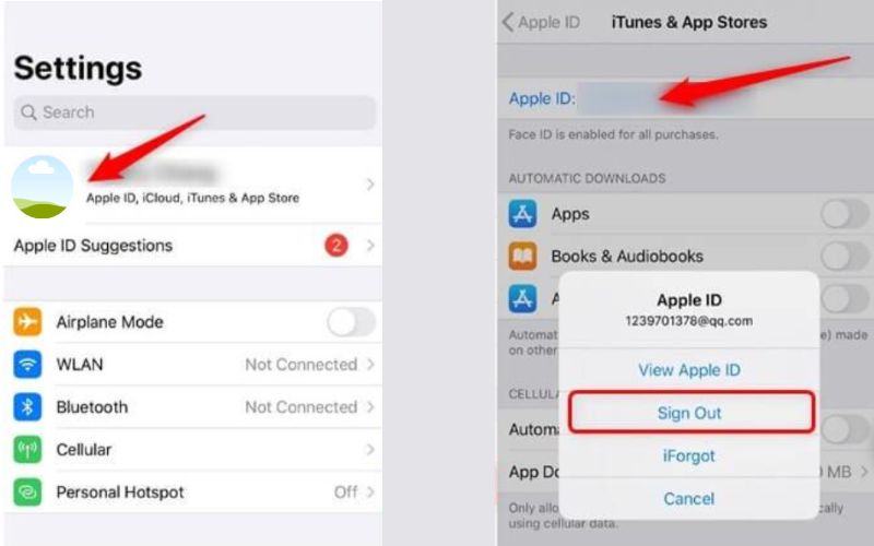 Sign Out Apple Id