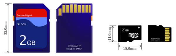 TF Card vs SD Card in Size