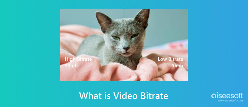 비디오 비트 전송률이란 무엇입니까?