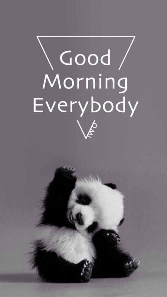 God morgen Panda