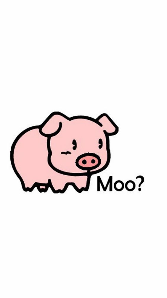 Moo Pig