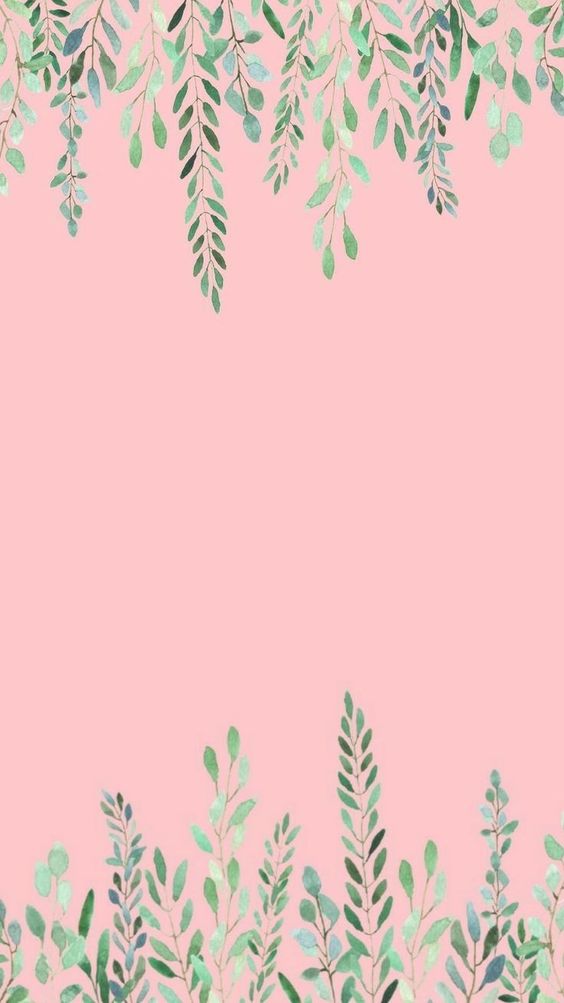 Roze Plant