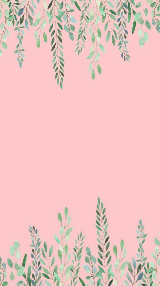 Pink Plant