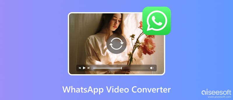WhatsApp 视频转换器