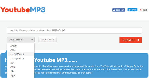 Youtube Convert2mp3you