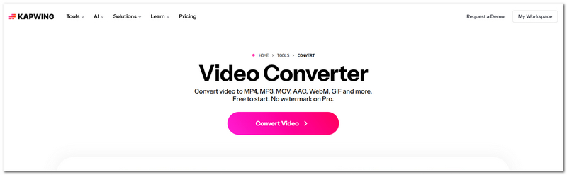 Kapwing Converter Alternative