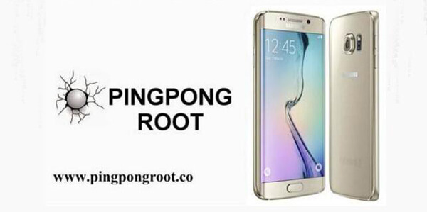 pingpong Root