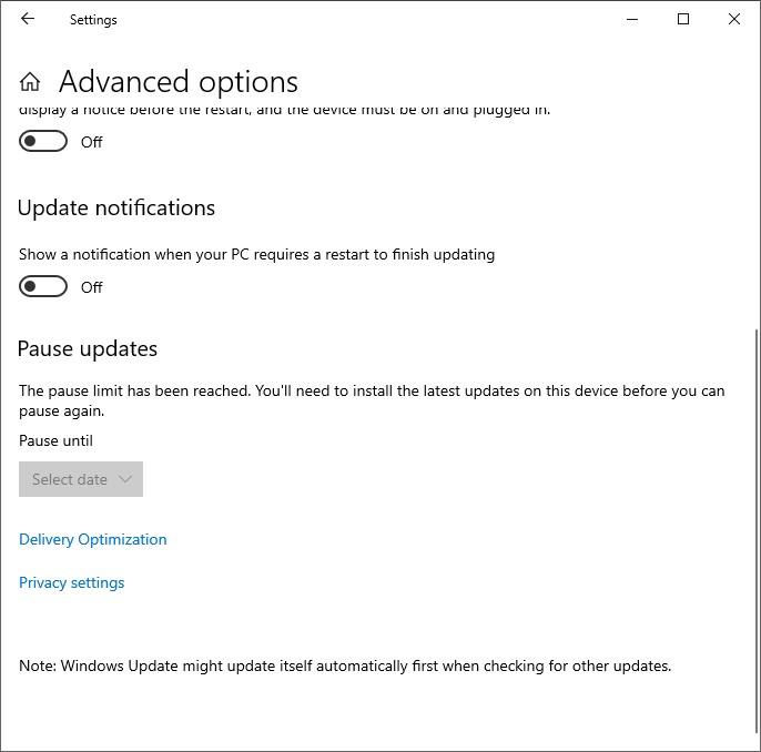 Delivery Optimization Under Advanced Options