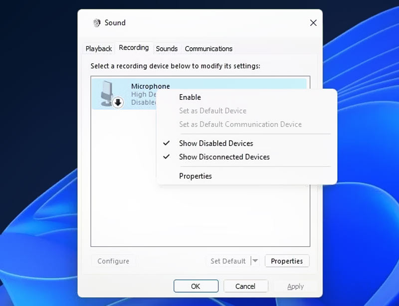 Enable Microphone on Windows