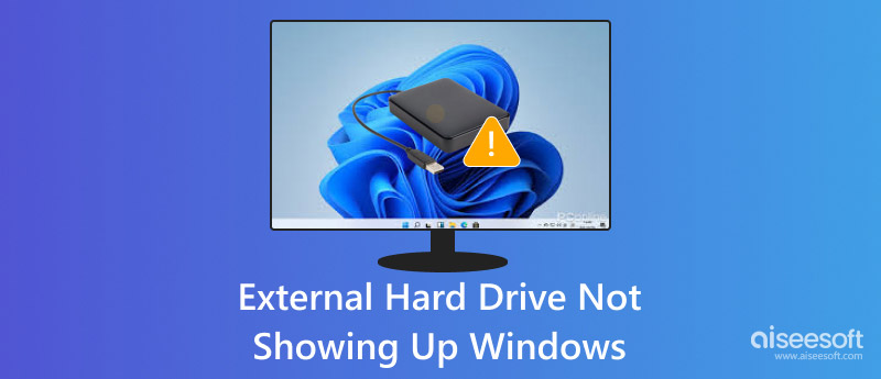 External Hard Drive not Showing up in Windows