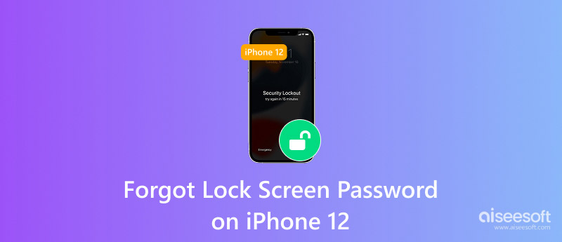 Forgot iPhone 12 Passcode