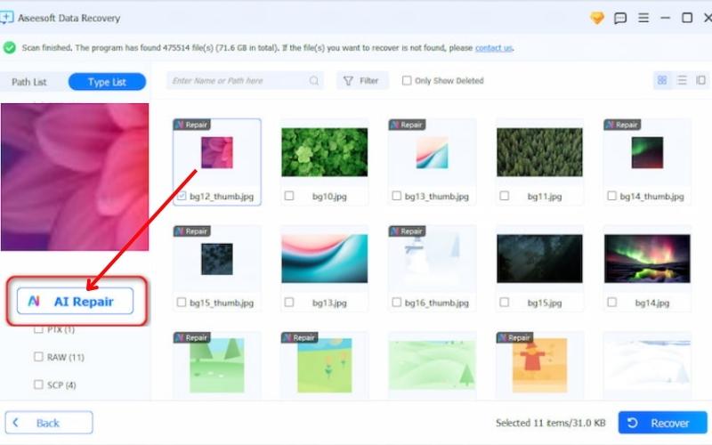 Click Repair Button