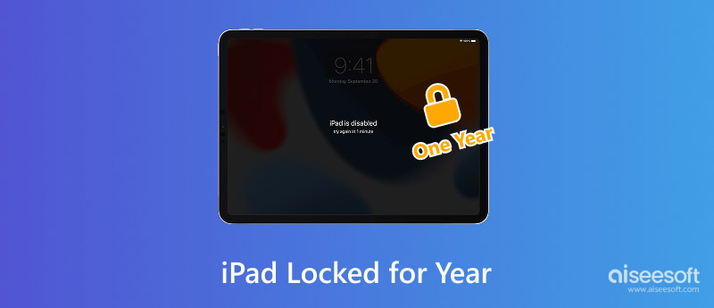 iPad Locked for Year