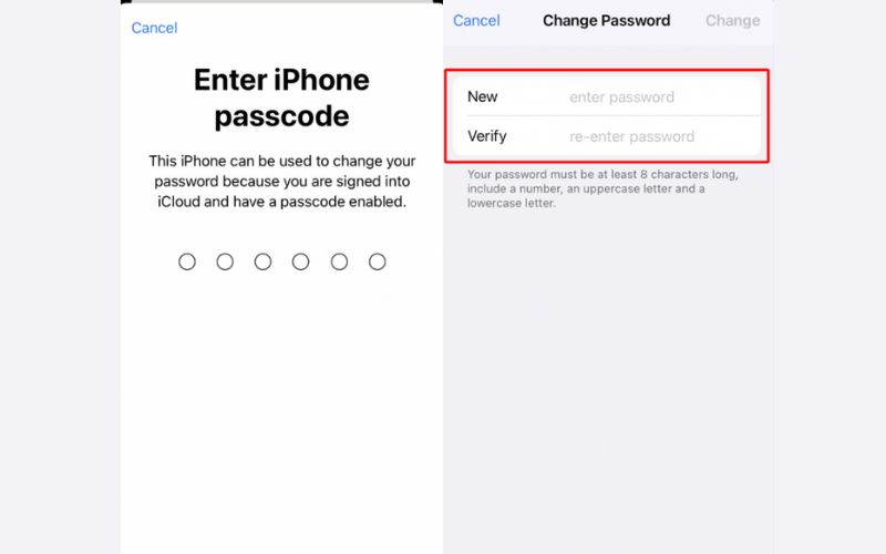 Set New Password