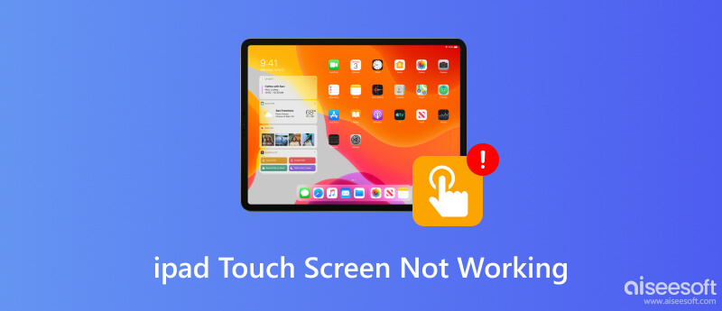 iPad Touch Screen Not Working