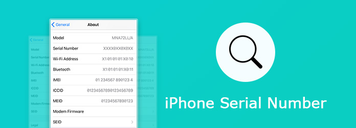 iPhone Serial Number