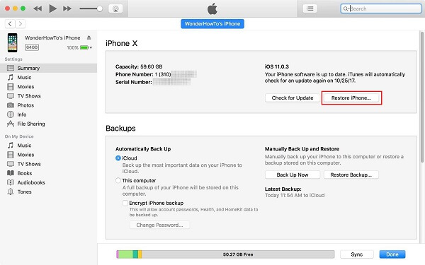 Manually restore iphone x