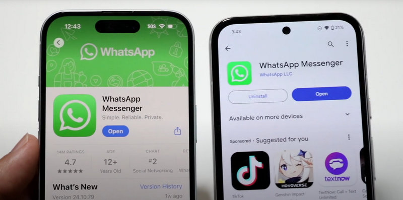 Whatsapp Transfer