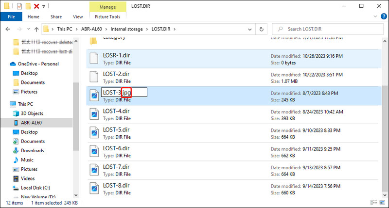 Rename The File Extension