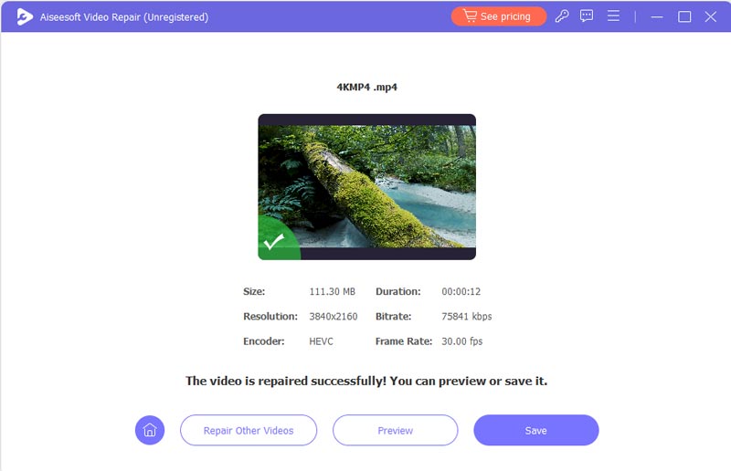 Preview Save