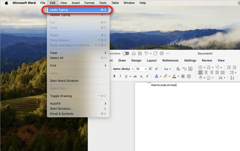 Undo Typing Word Mac