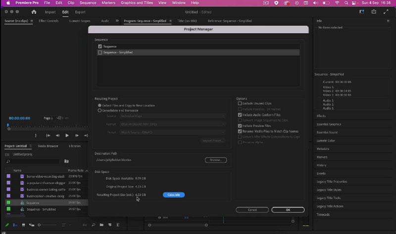 Premiere Pro Consolideren