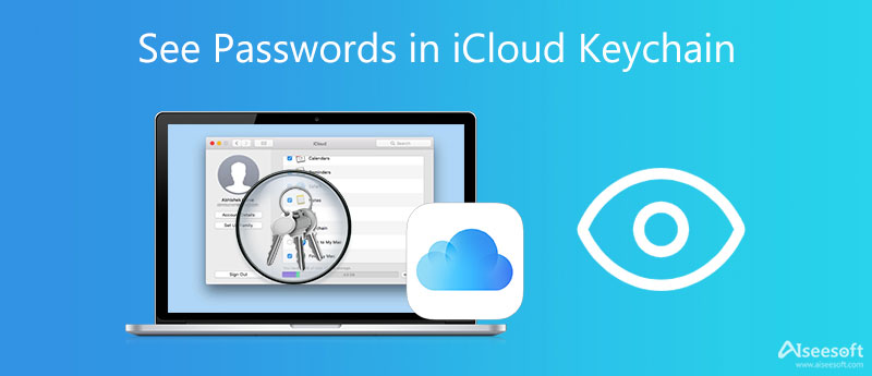 See Passwords in iCloud Keychain