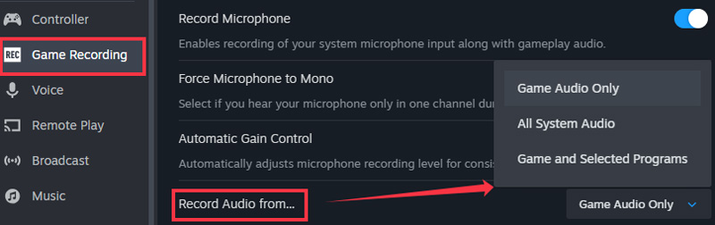 Steam Game Recording Settings Record Audio From