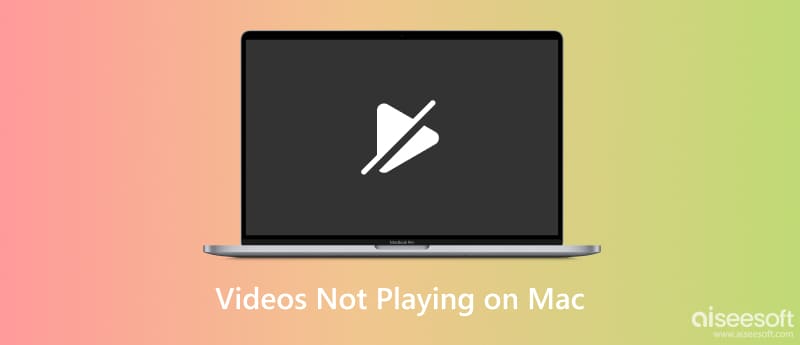 视频无法在 Mac 上播放