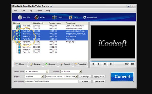 Convertitore video multimediale Sony iCoolsoft