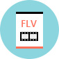 Convertitore FLV