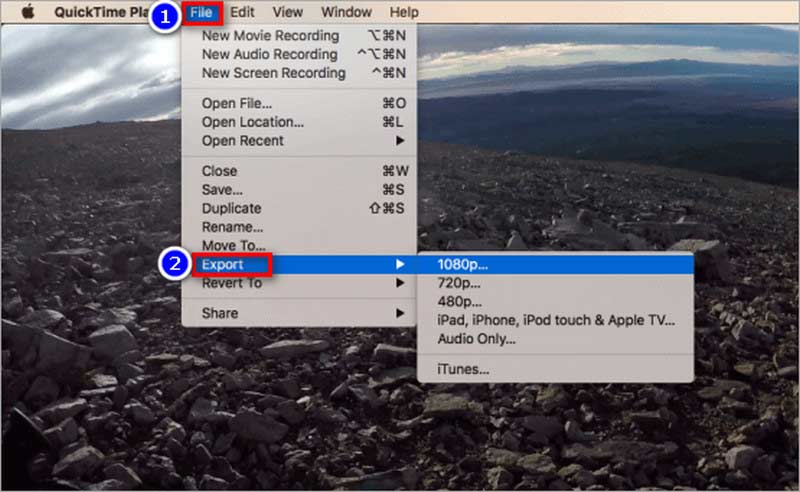 QuickTime Dosyası Dışa Aktarma Çözünürlüğü