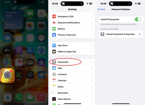 Abilita il riempimento automatico della password iPhone 14 Pro