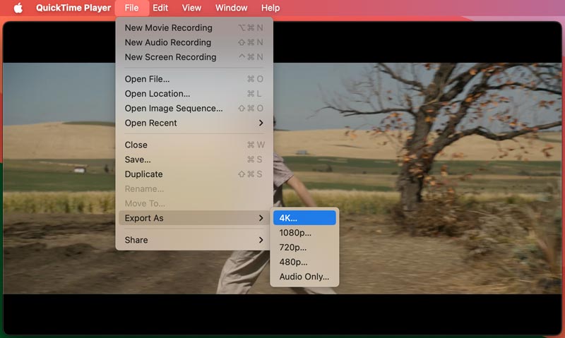 QuickTime Export as 4K