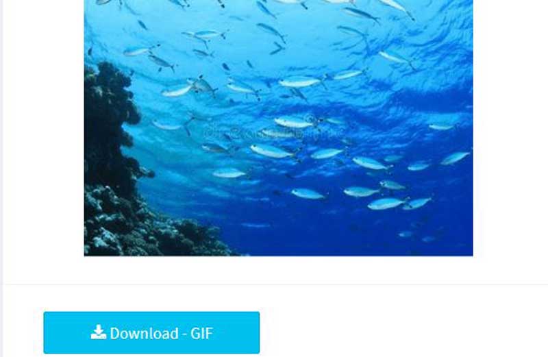 100% Working Way to Convert JPG Image to Animated GIF Easily