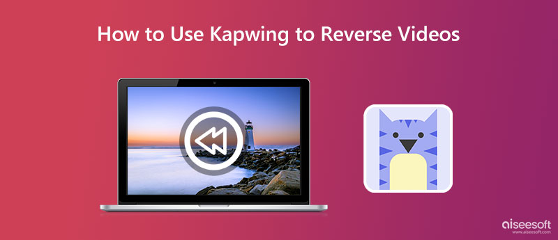 Kapwing Reverse Video
