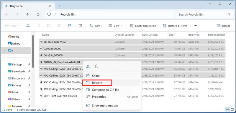 Find Deleted Videos on Windows Recycle Bin