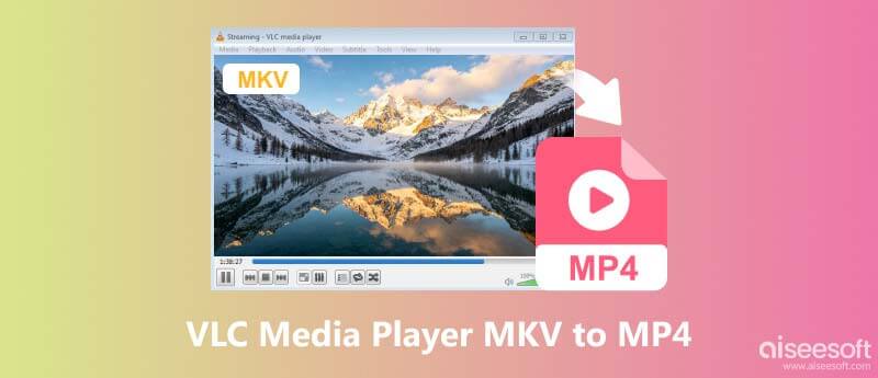 VLC Media Player MKV To MP4