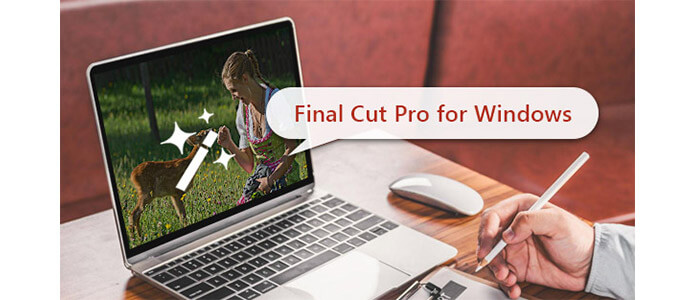 Final Cut Pro-vensters