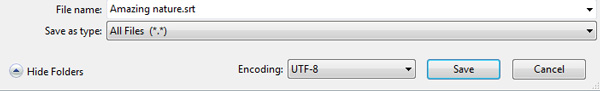 Save SRT File