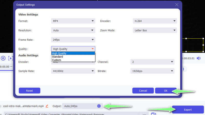 Salva output video