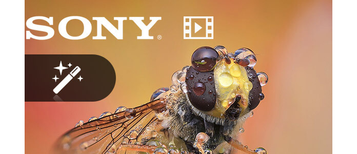 sony video software for mac sony video software for mac