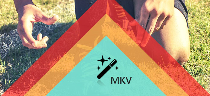 MKV-editor
