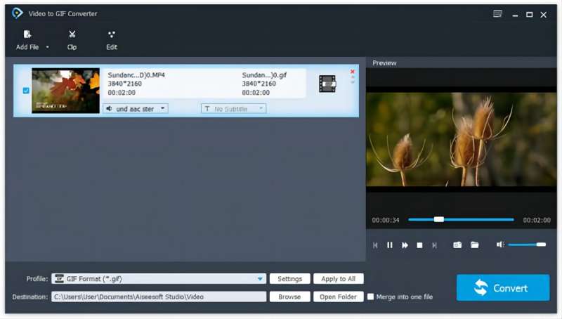 Aiseesoft Video to GIF Converter screenshot