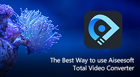 Usa Aiseesoft Total Video Converter