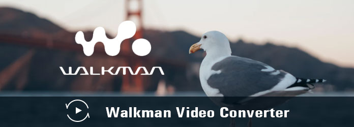 Walkman Video Converter