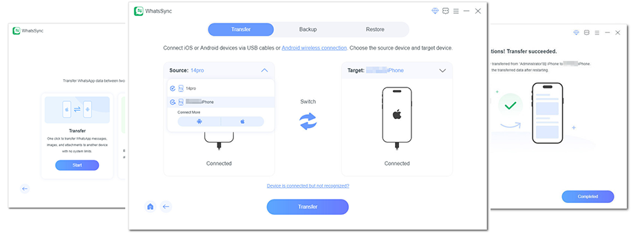 Transfer WhatsApp Data